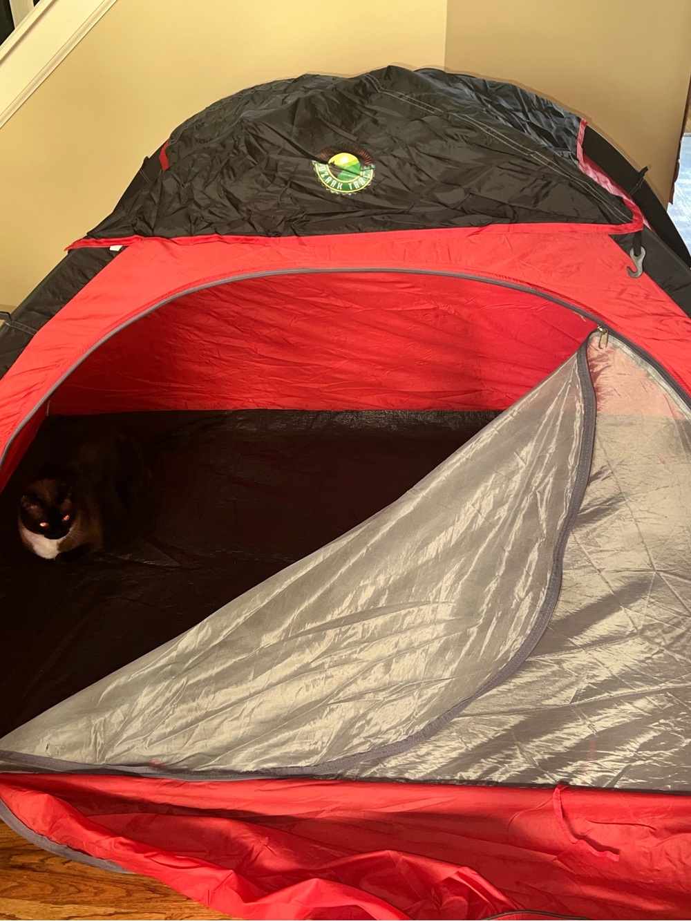 Kids 6x4’ outdoor tent  easy assembly with carry bag.